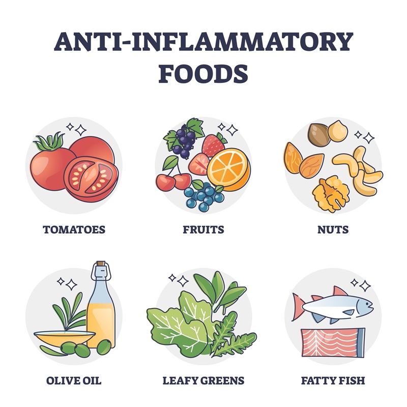 Core dietary pillars of anti-inflammatory nutrition