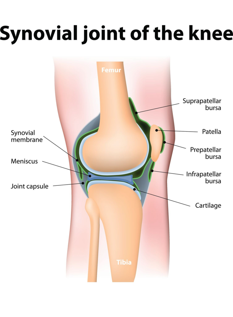 hydration and joint lubrication
