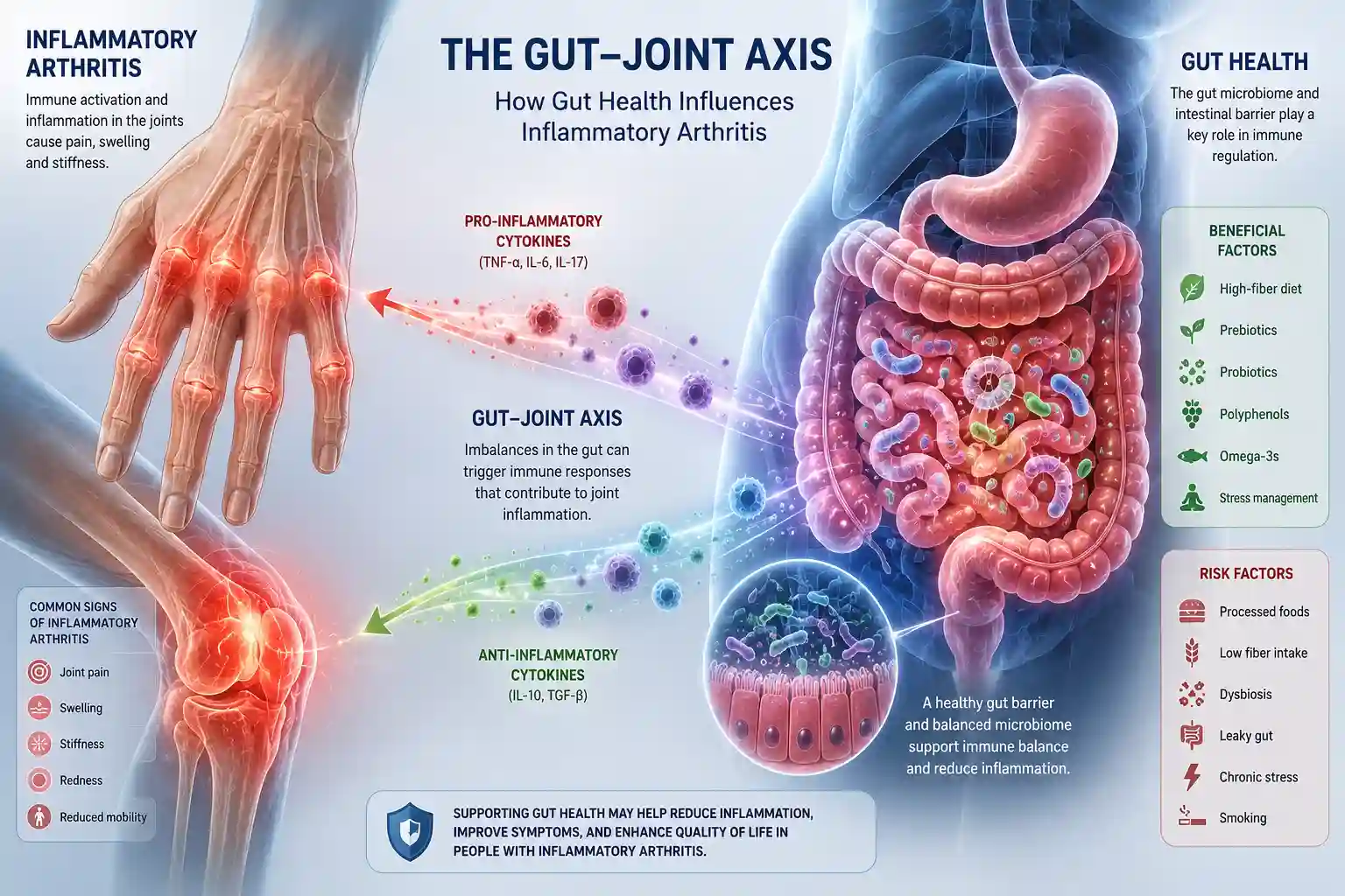 inflammatory arthritis and gut health